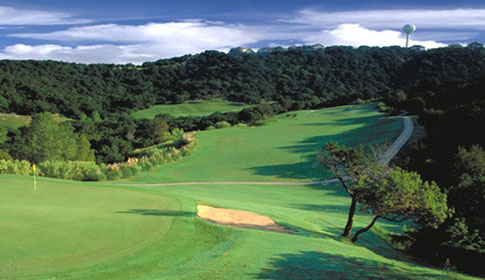Golf referendum