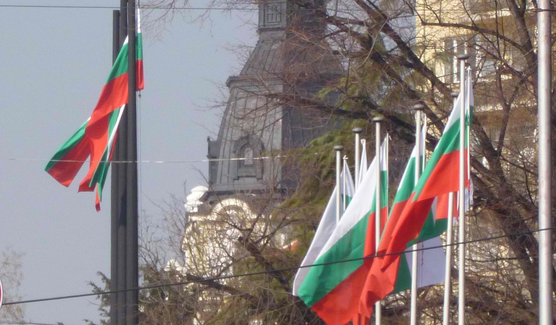 Bulgaria’s 2013 parliamentary elections: Profiles of parties and players