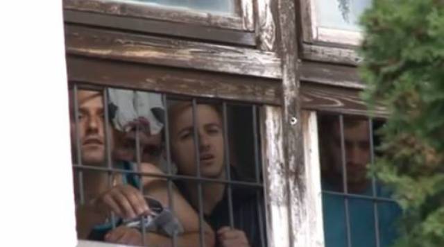 Government of Kosovo: There have been no maltreatments of Albanians in Hungary