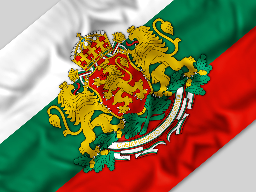 Bulgaria in 2013: An ‘Annus Horribilis’ in pictures