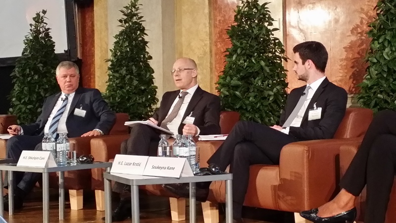 Taxation authorities in Albania face two types of financial statements from businesses