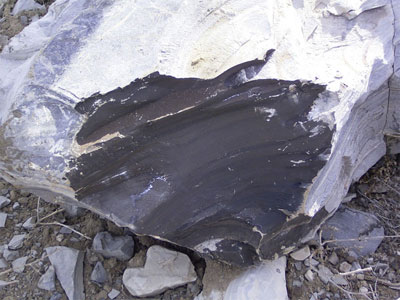 Romanian county court reverses ban on shale gas exploration