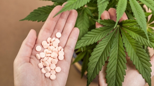 Montenegro: Legalization of marijuana for medical purposes