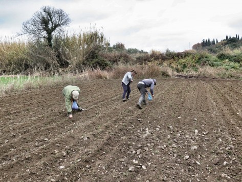 Farmers to pay for the migrants they hire