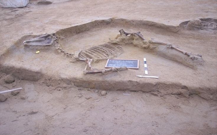 Horse burial discovered in Faliro