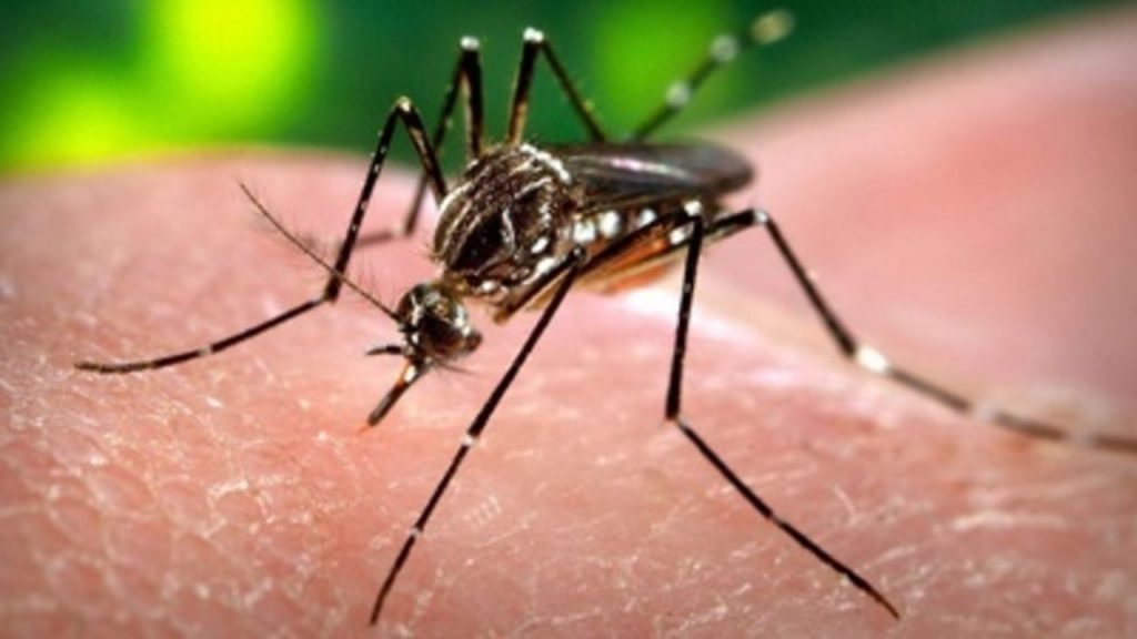 Romanian Health Ministry confirms young woman tested positive for Zika virus
