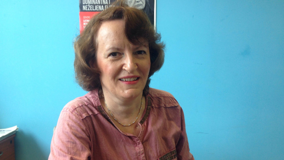 IBNA/Interview: Serbia will have presidential campaign soon