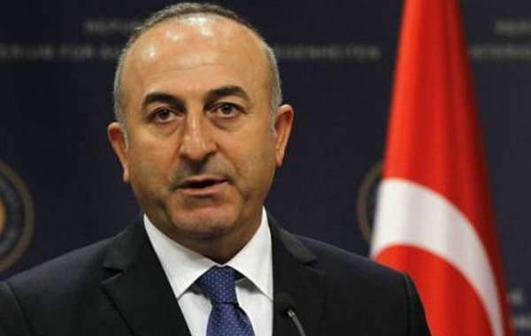 Turkish FM: Austria is capital of radical racism