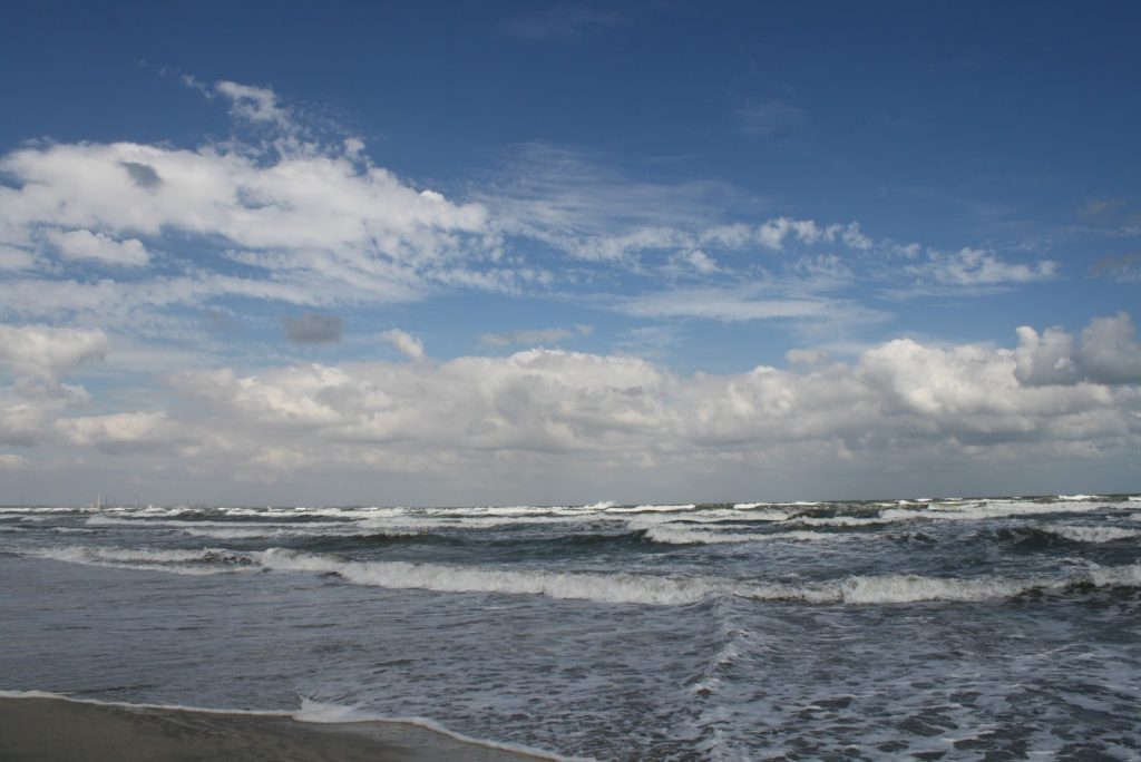Black Sea ports, closed due to strong winds