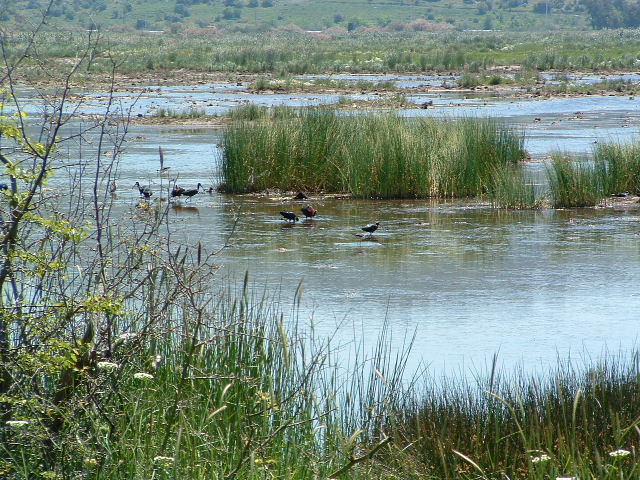 Turkey’s loss of wetlands exceeds size of Marmara over last 60 years: Report