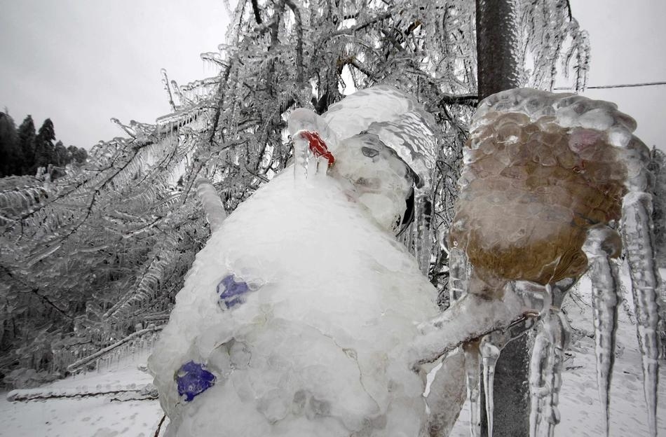 Frost believed to have decimated crops