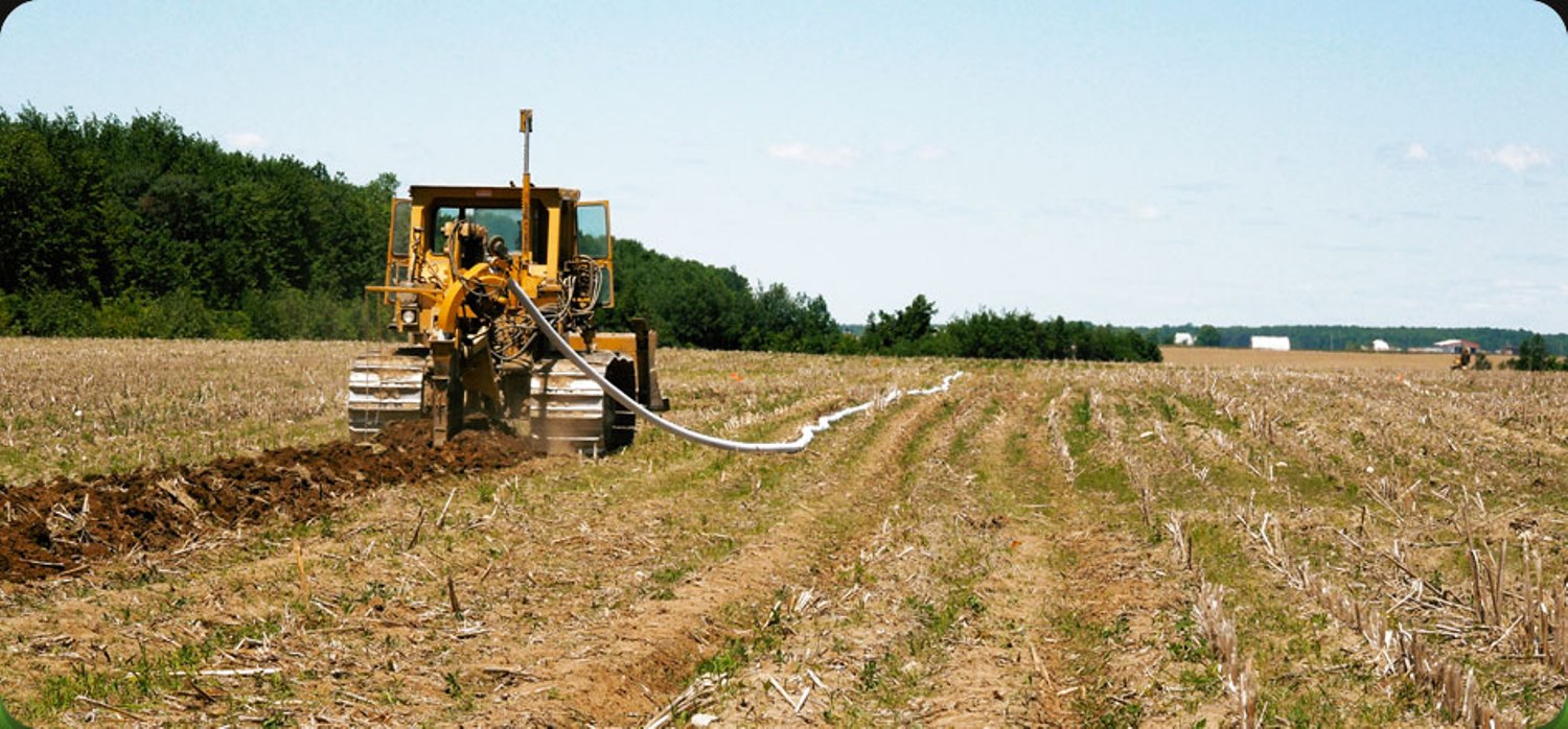 6.5 million euros to support Albanian farms and agribusiness