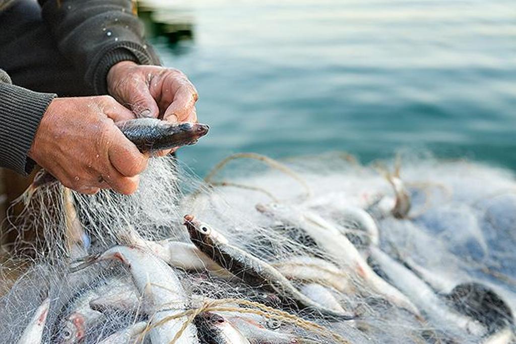 EU stimulates Albanian fishing sector through millions of euros worth of grants