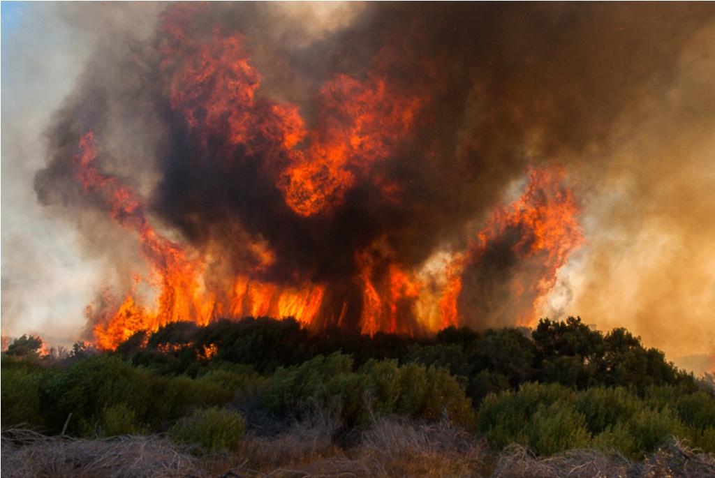 Сгорел класс. Массивные пожары. Голем 28 пожар. Wildfire slope. Класс пожара е.