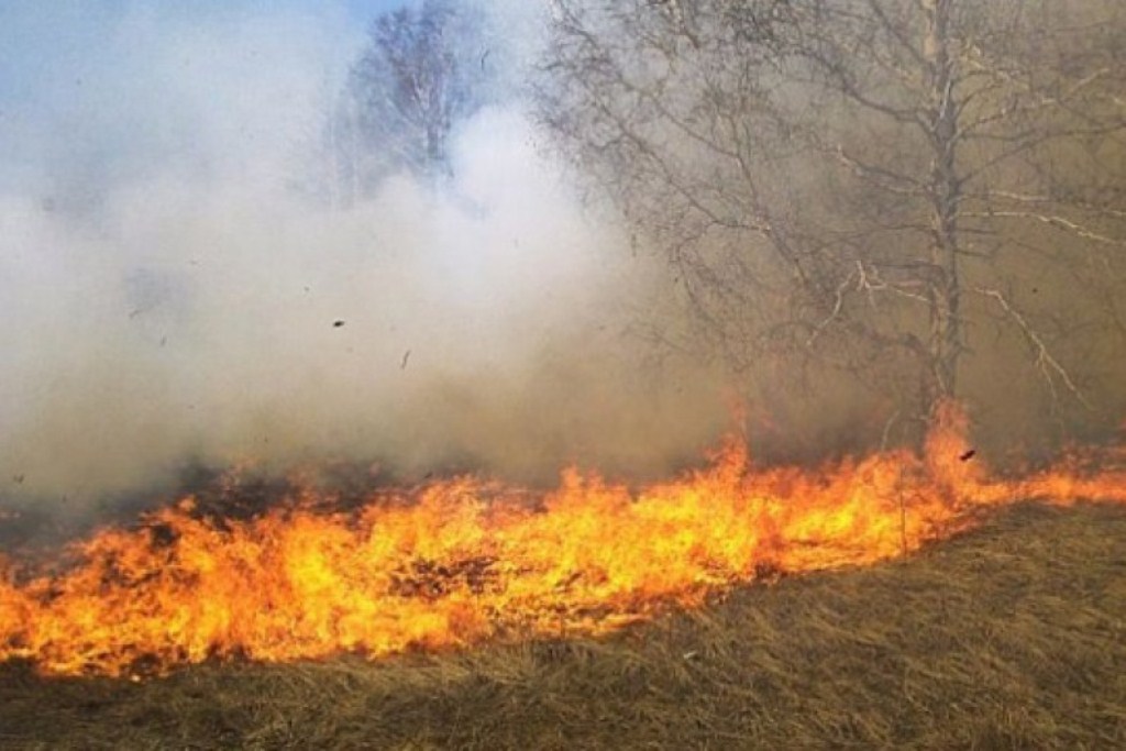 Massive fires in several areas of FYROM