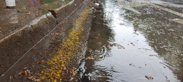 Weather warnings for heavy rainfall in Western Bulgaria