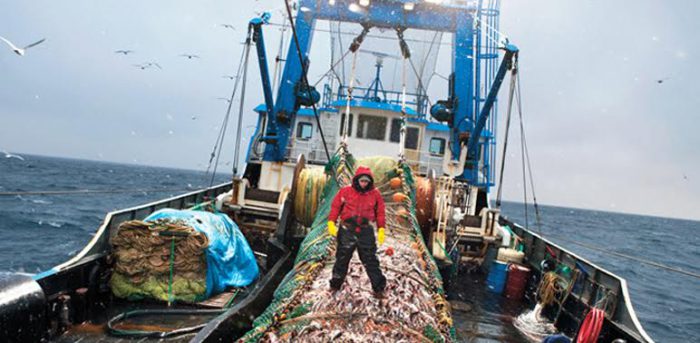 EC proposes fishing opportunities in the Black Sea for 2018 for Bulgaria and Romania