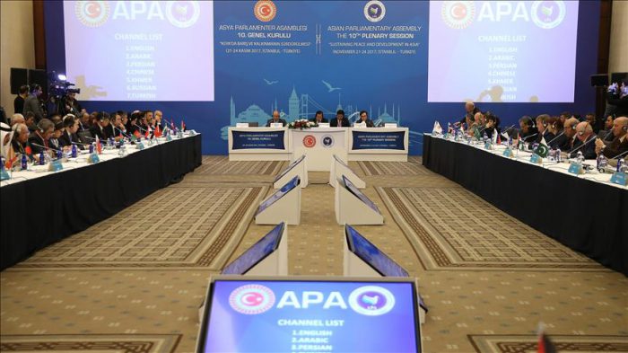 Turkey hosts the 10th APA plenary session