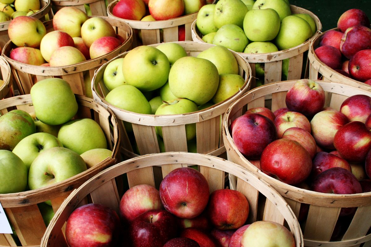 Apples from BiH still banned from Russian market