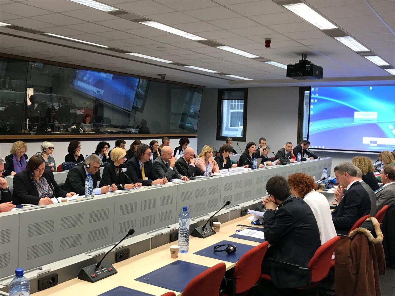 The pace of BiH reforms slowed down in 2017