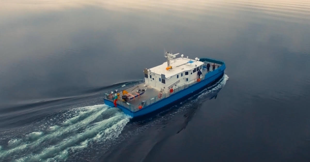 Bulgaria completes dredging project to deepen Danube for shipping
