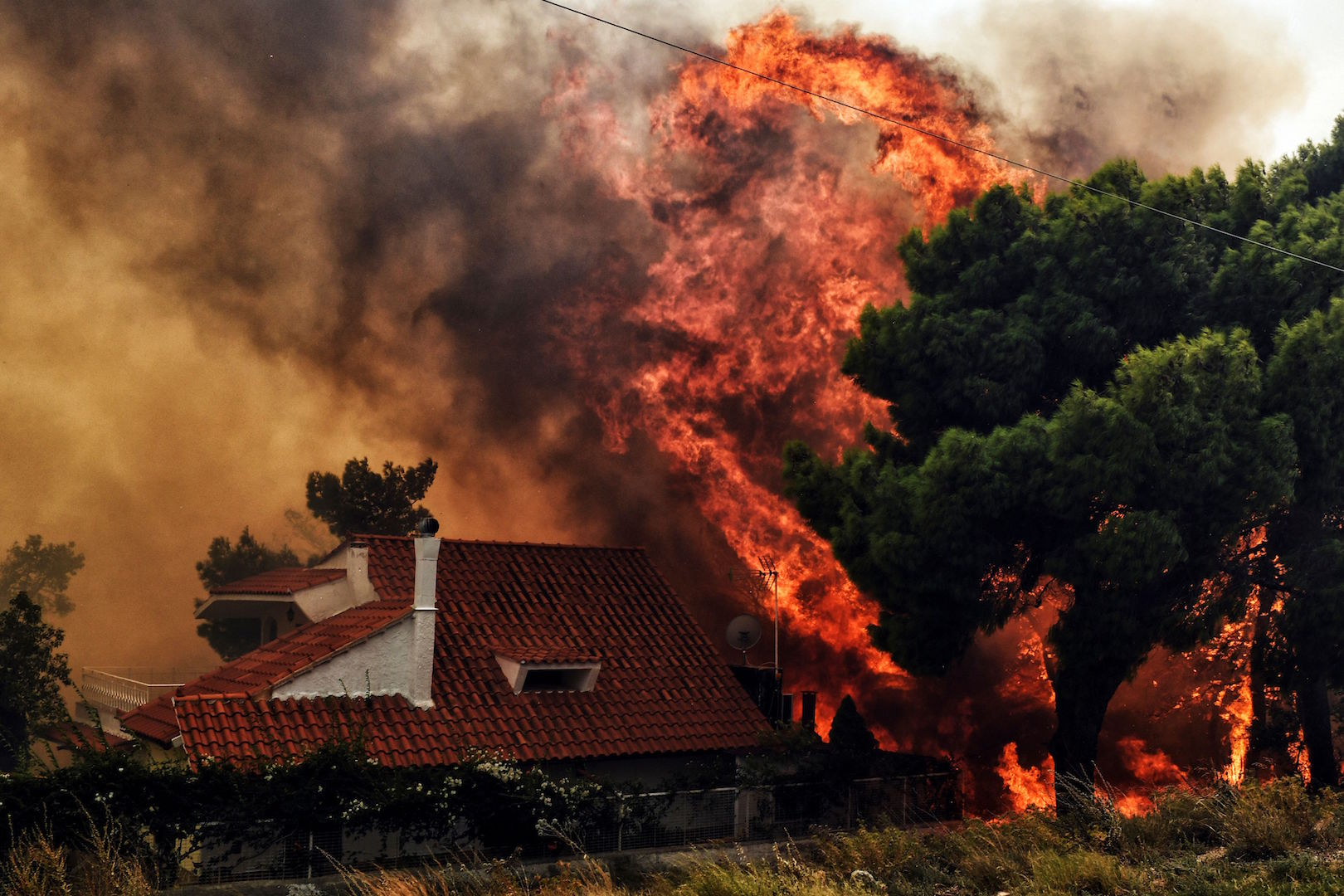 Victims of Attica wildfires reach 96