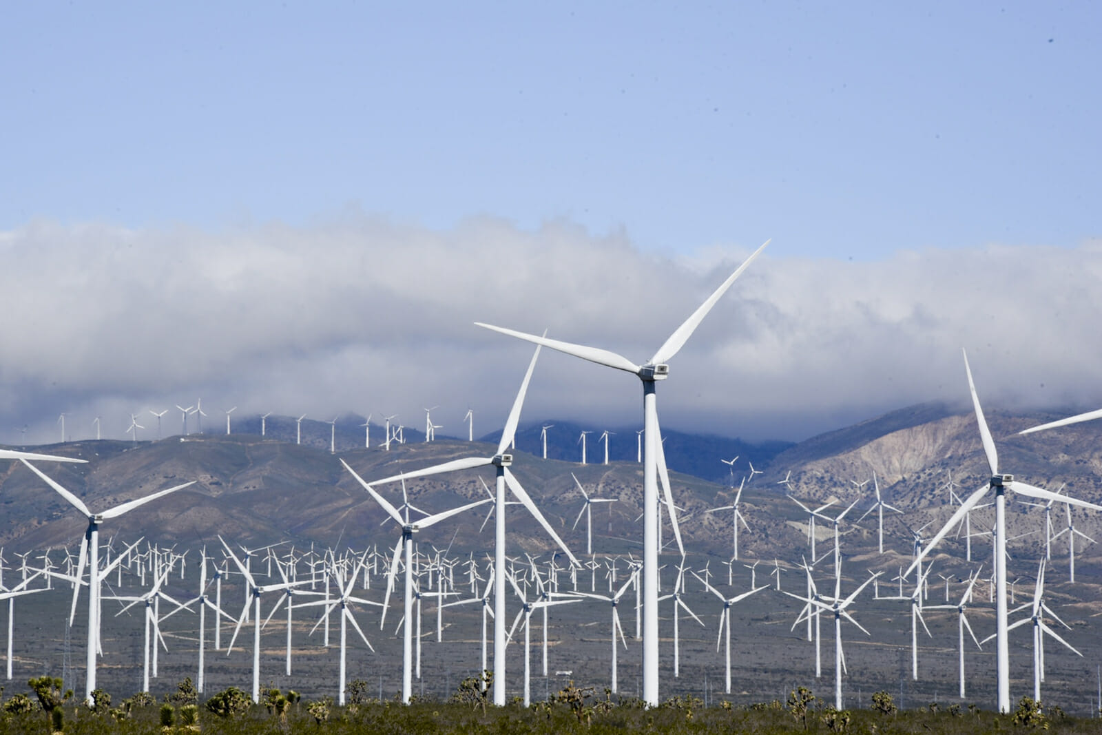 wind farm