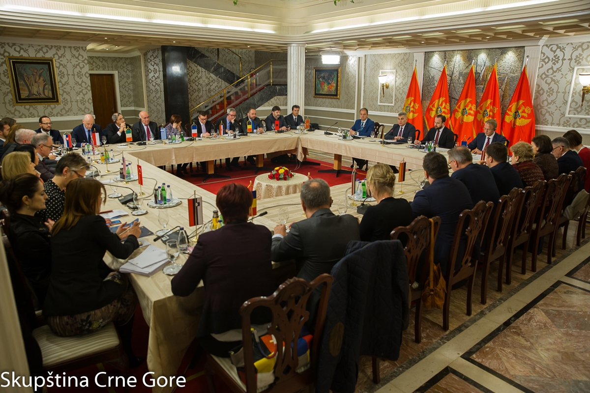 Brajović: Opposition parliamentary parties are also responsible for overcoming challenges