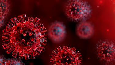 Kosovo: 71 COVID-19 outbreaks