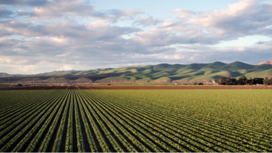 Bulgaria: The silver lining in Bulgarian agriculture