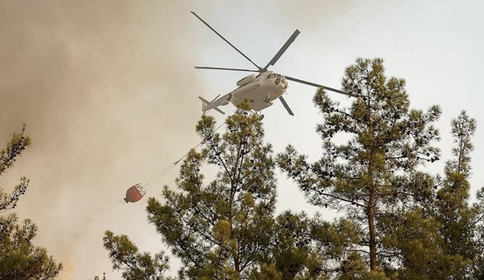 Turkey: Eight killed by forest fires