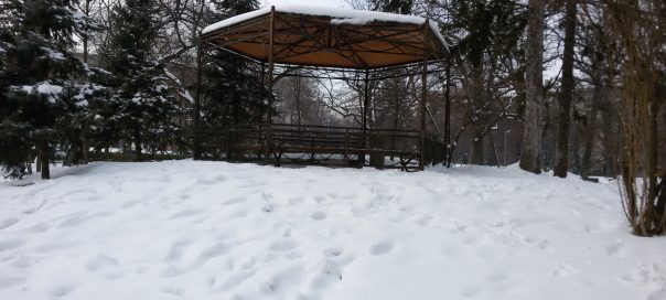 Bulgaria issues ‘Code Orange’ dangerous weather warning for six districts over snow, rain, wind.