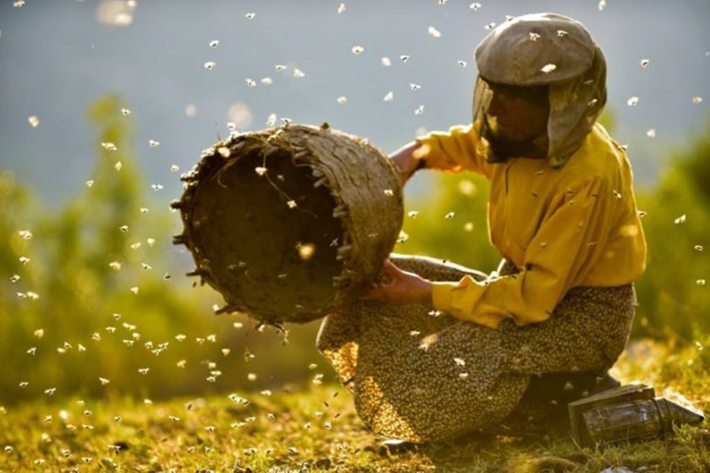 Το Honeyland βραβεύεται με το πρώτο βραβείο στο αμερικανικό φεστιβάλ κινηματογράφου Sundance