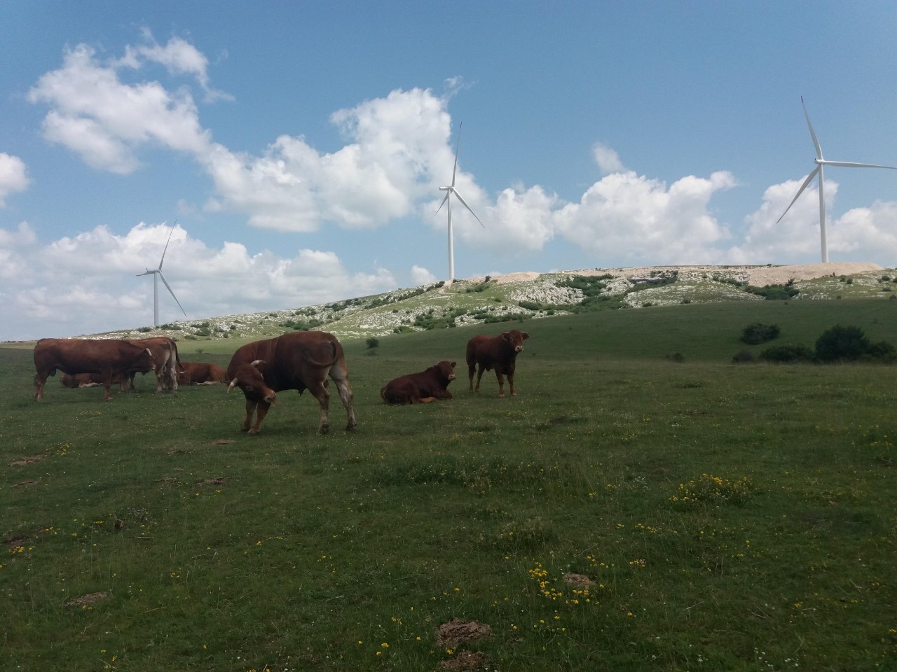 Το Κέντρο Περιβάλλοντος της B-E καταγγέλλει απόφαση της Δημοκρατίας Σέρπσκα