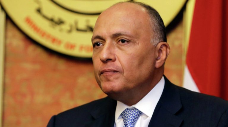 Shoukry: Οι υπογραφέντες συμφωνίες Τουρκίας Λιβύης θα εμποδίσουν την επίλυση της Λιβυκής κρίσης