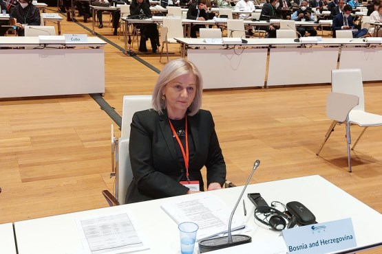 U BiH postoje razni bezbednosni rizici i oblici radikalizacije i govora mržnje